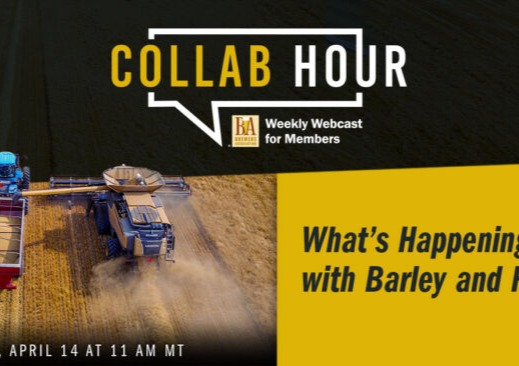 AMBA featured in Brewers Association webinar; discusses need for public investment in barley