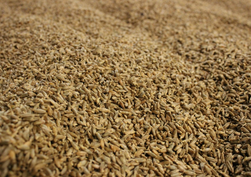 Increased staffing realized at the USDA-ARS Cereal Crops Research Unit