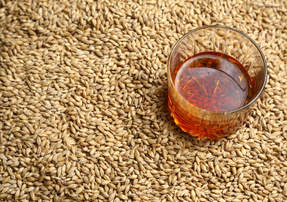 Strategies for reducing ethyl carbamate in whiskey production through barley selection